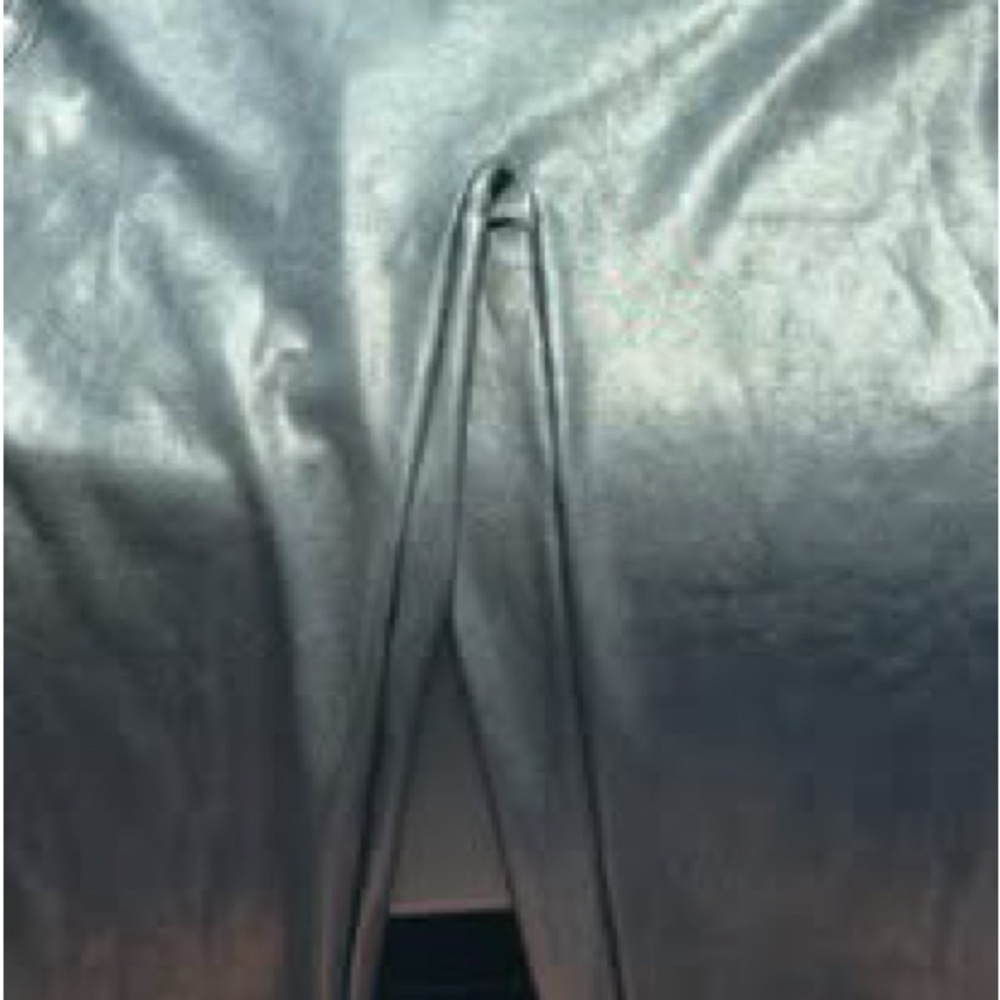 SPANX Shiny Silver Leggings